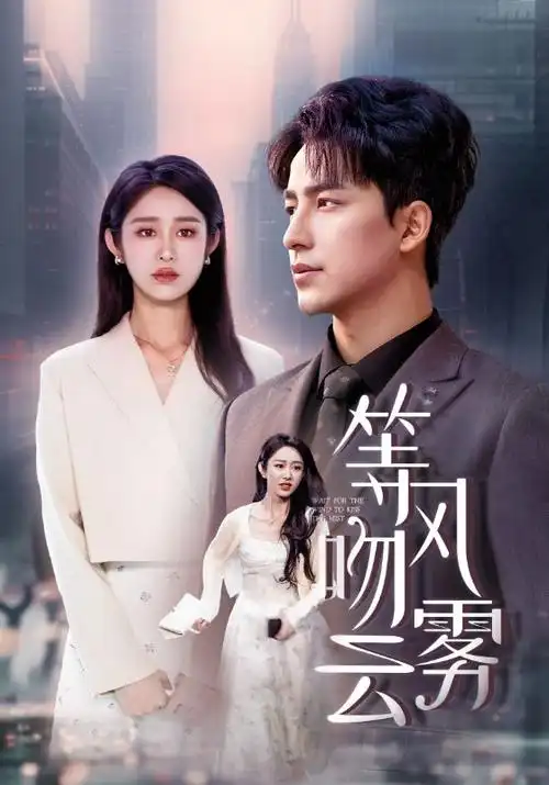 沉默的证词热播电视剧全集免费观看